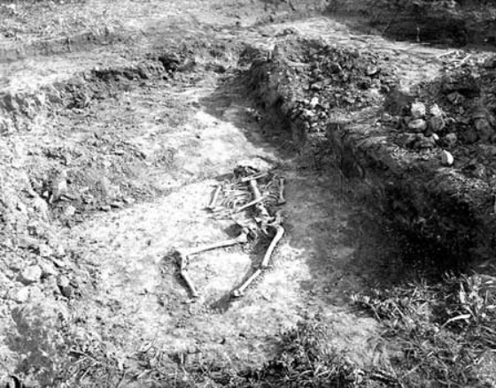 Anglo-Saxon Cemetery 4