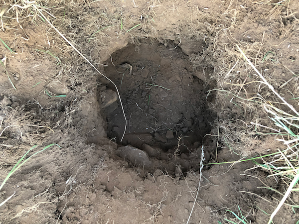 Windmill Lane field dig